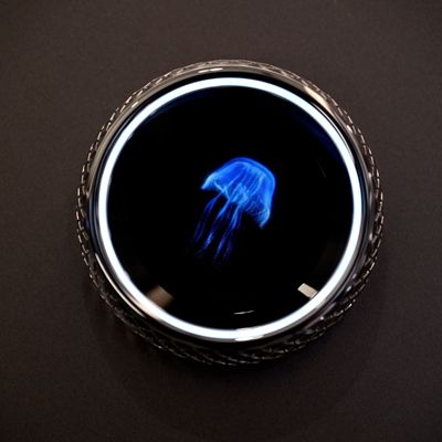 �c(di��n)���鿴Ԕ��(x��)��Ϣ��(bi��o)�}��Ħ��ȫ������ϵ�� ��x�Δ�(sh��)��189